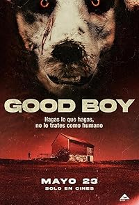 Good Boy FIlmyzilla 2022 Hindi Dubbed Norwegian Movie Download 480p 720p 1080p 
