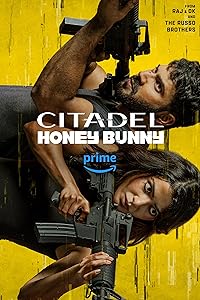 Citadel Honey Bunny Filmyzilla 2024 Hindi Tamil Telugu Malayalam Kannnada English Web Series Download 480p 720p 1080p